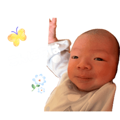 shimaneko_20260412154819