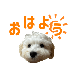 ayano_20260412155750