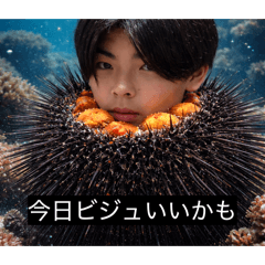 aanarudaichinopaizuri_20260412160126