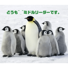 Kitikititanuki_20260412160844