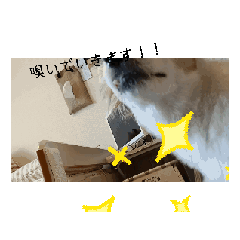 mahiro_20260412190801