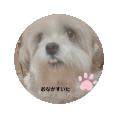 mam.taikodon_20260412204128