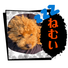 fukufuku_20260412142112