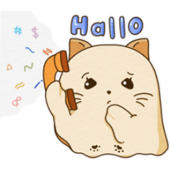 The shy cat (Cinder)