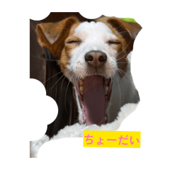 ROCO_20260412144349
