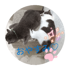 airia_20260412170546