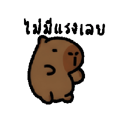 Capybara Mood.