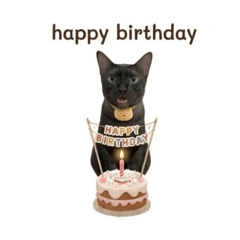 Srinin_20260412131345