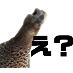 K_20260412180654
