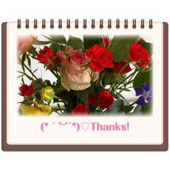 T_2026.4.12