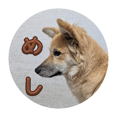 honories.tanu_20260412182241