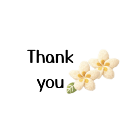 シンプル　アロハ　挨拶スタンプ