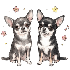 Luke and Nena: Daily Stickers