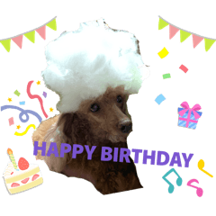 Monica_20260410154130