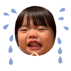 masa_20260412125008