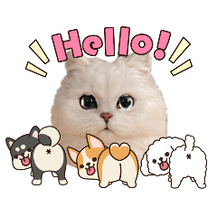 pachan_20260412162908