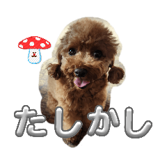 Yukko_20260412161738