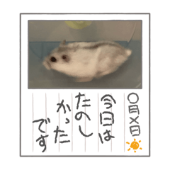 @mutan_20260412190857