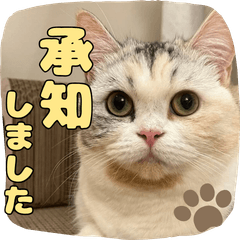 Melo-chan Stickers Vol. 2