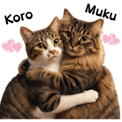 Daily Life of Muku & Koro