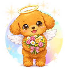 Angel Toy Poodle Putina Elegant Polite