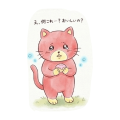 Akaneko-chan (loves doughnuts)