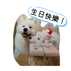 你好啊，小可愛