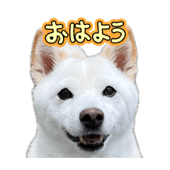 hiichan_20260412230055