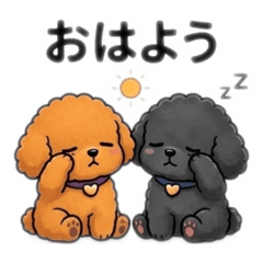 popola_20260412225626