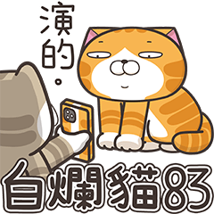 白爛貓83☆超傲嬌☆