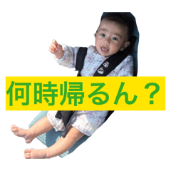 Lilli 20260408131025