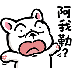 豆卡頻道- 可可愛愛篇