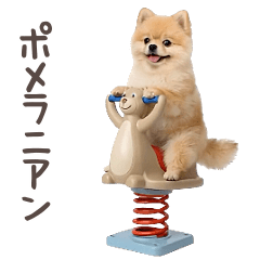 A Pomeranian that moves, runs, and sway