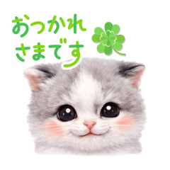 pururu_20260410205602