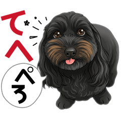 sheril mama_20260411000830