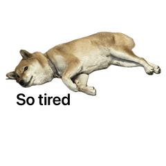 Q妹妹的第一彈貼圖