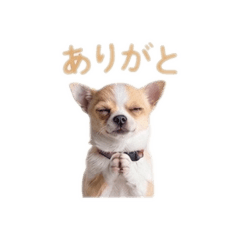 Kyoka_20260412203108