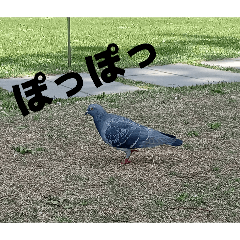 nonono_20260412210547