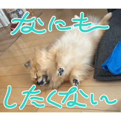 hanahana_20260412204200