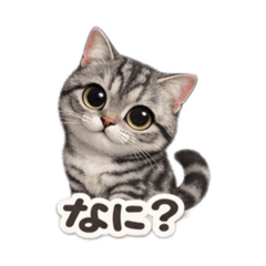 Tsundere Silver Tabby Cat Stickers