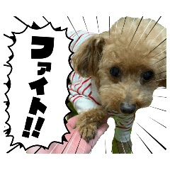 Dalbong san is always cute