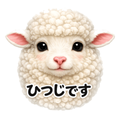 Fluffy Face Series: Sheep