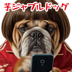 The bob-haired bulldog moves