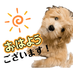 Marin_20260412204923