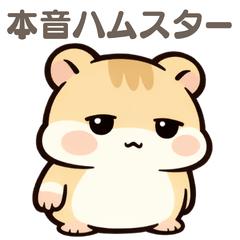 [Everyday Use] Honest Hamster