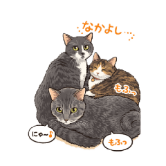 zzz_zzz_20260412220800