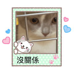 可愛芝麻貼圖