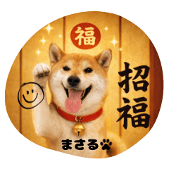 Healing Shiba Inu Masaru 2