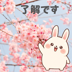 Chubby Cute Bunny Daily Phrases