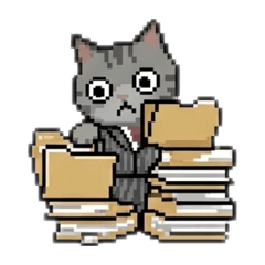 Good evening chan_20260411134954